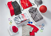 <strong>PROMOCIONALES </strong>